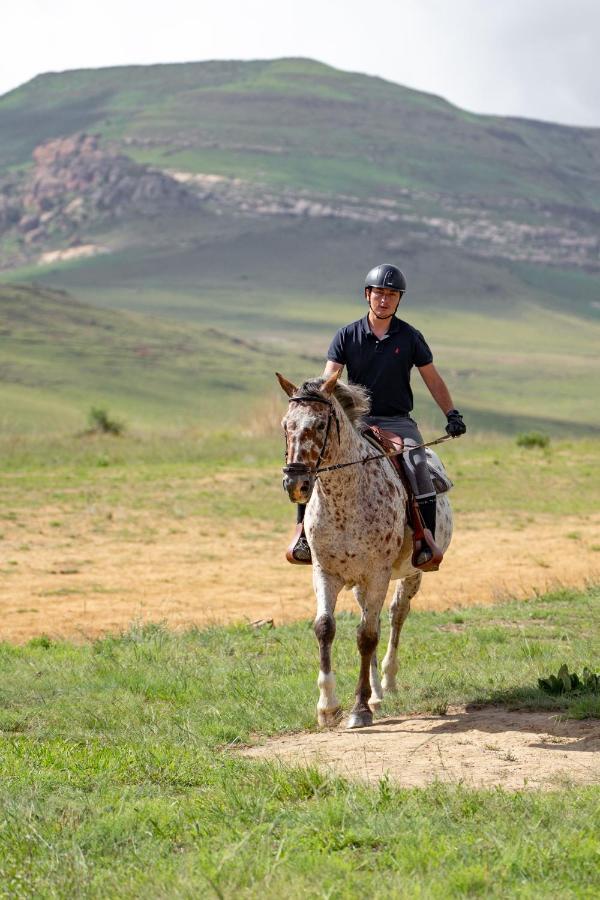 Wild Horses Lodge Harrismith Bagian luar foto