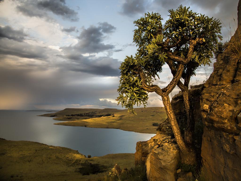 Wild Horses Lodge Harrismith Bagian luar foto