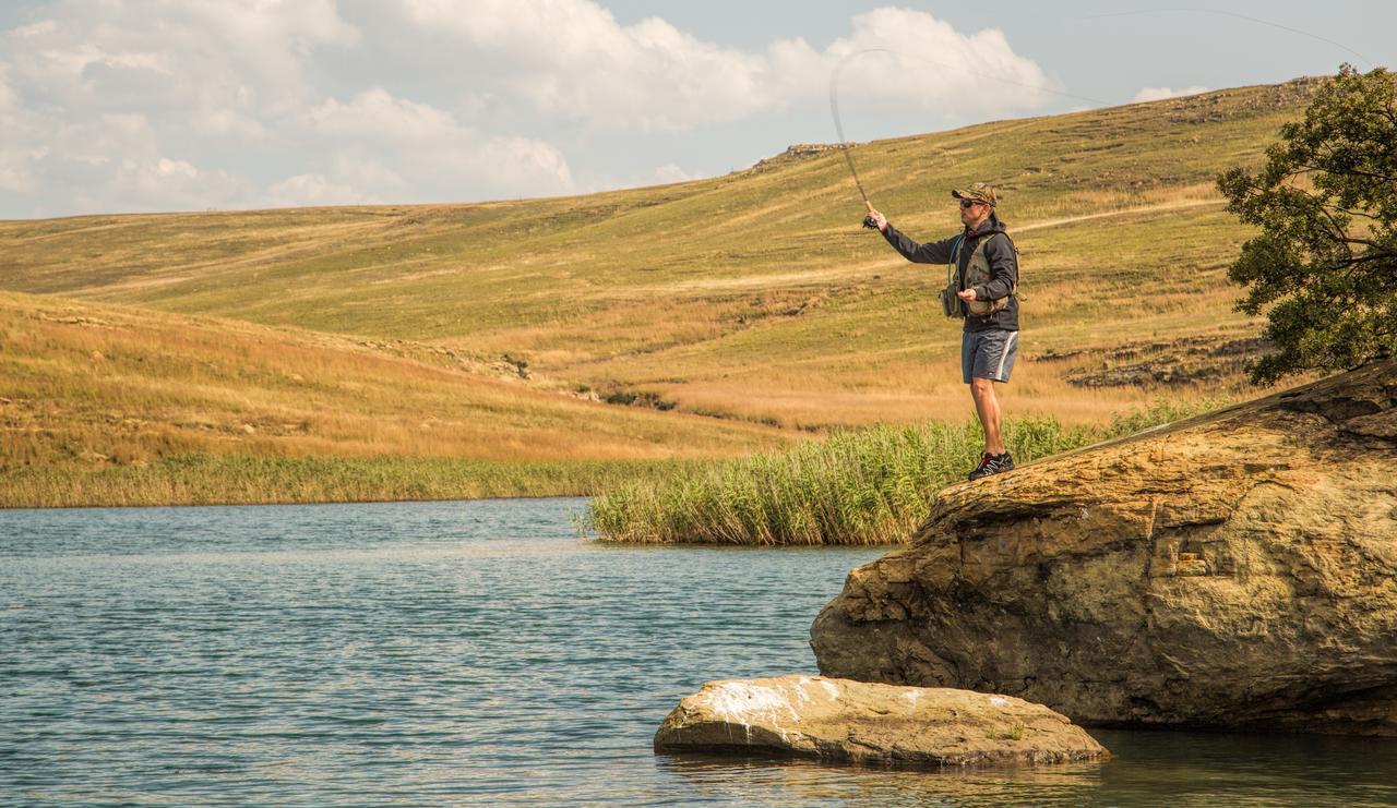 Wild Horses Lodge Harrismith Bagian luar foto